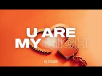 Thumbnail for the DJ Snake - You Are My High link, provided by host site