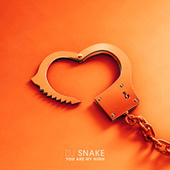 Thumbnail for the DJ Snake - You Are My High link, provided by host site