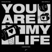Thumbnail for the Chocolate Puma - You Are My Life (Chambray Remix) link, provided by host site