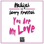 Thumbnail for the Malkijah - You Are My Love (Natural Gyal Dem Riddim) link, provided by host site