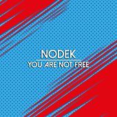 Thumbnail for the Nodek - You Are Not Free link, provided by host site