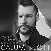 Thumbnail for the Calum Scott - You Are The Reason (John Gibbons Remix) link, provided by host site