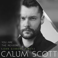 Thumbnail for the Calum Scott - You Are the Reason (John Gibbons Remix) link, provided by host site