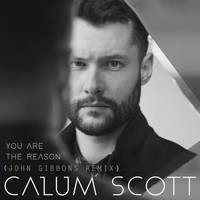 Thumbnail for the Calum Scott - You Are The Reason (John Gibbons Remix) link, provided by host site