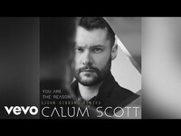 Thumbnail for the Calum Scott - You Are The Reason (John Gibbons Remix/Audio) link, provided by host site