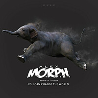 Thumbnail for the Neelix - You Can Change The World (Alex M.O.R.P.H. Remix) link, provided by host site
