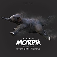 Thumbnail for the Neelix - You Can Change the World (Alex M.O.R.P.H. Remix) link, provided by host site