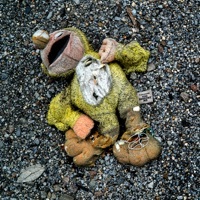 Thumbnail for the Gangrene - You Disgust Me link, provided by host site