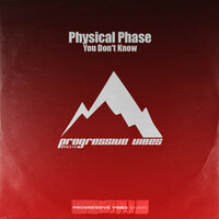 Thumbnail for the Physical Phase - You Don't Know link, provided by host site