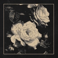 Thumbnail for the Atreyu - You Eclipsed by Me link, provided by host site
