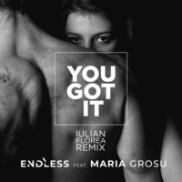 Thumbnail for the Endless - You Got It (Iulian Florea Remix) link, provided by host site