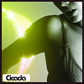 Thumbnail for the Cicada - You Got Me Feeling link, provided by host site