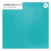 Thumbnail for the Andrea Belli - You Gotta Feel [Remixes] link, provided by host site