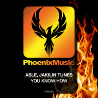Thumbnail for the Asle - You Know How link, provided by host site