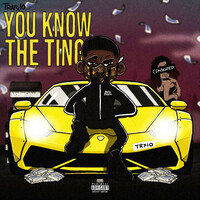 Thumbnail for the Trapx10 - You Know The Ting link, provided by host site