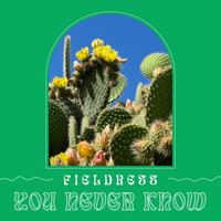 Thumbnail for the Fieldress - You Never Know link, provided by host site