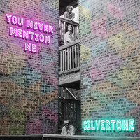 Thumbnail for the Silvertone - You Never Mention Me link, provided by host site