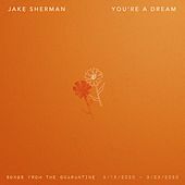 Thumbnail for the Jake Sherman - You're a Dream link, provided by host site