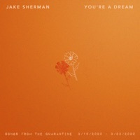 Thumbnail for the Jake Sherman - You're a Dream link, provided by host site