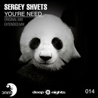 Thumbnail for the Sergey Shvets - You're Need link, provided by host site
