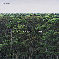 Thumbnail for the Semisonic - You're Not Alone link, provided by host site