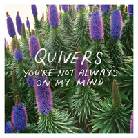 Thumbnail for the Quivers - You're Not Always On My Mind link, provided by host site