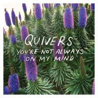 Thumbnail for the Quivers - You're Not Always On My Mind link, provided by host site