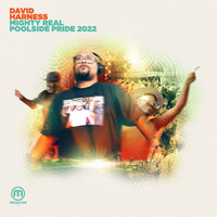 Thumbnail for the Mark Farina - You Should Be Dancing - Unreleased David Harness Afro Mix link, provided by host site