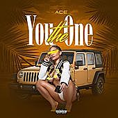 Thumbnail for the Ace - You The One link, provided by host site