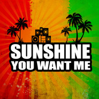 Thumbnail for the Sunshine - You Want Me link, provided by host site