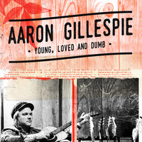 Thumbnail for the Aaron Gillespie - Young, Loved & Dumb link, provided by host site