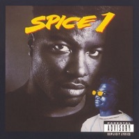 Thumbnail for the Spice-1 - Young N***a link, provided by host site