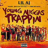Thumbnail for the Lil AJ - Young Niggas Trappin link, provided by host site