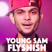 Thumbnail for the Young Sam - Young Sam Flyshish link, provided by host site