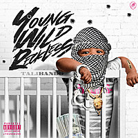 Thumbnail for the Talibando - Young Wild & Reckless link, provided by host site