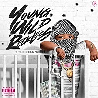 Thumbnail for the Talibando - Young Wild & Reckless link, provided by host site