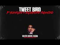 Thumbnail for the Never Broke Again - Youngboy Tweet Bird link, provided by host site