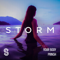 Thumbnail for the Prinsh - Your Body link, provided by host site