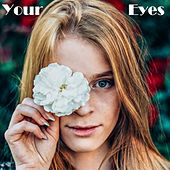 Thumbnail for the PlastiKid - Your eyes link, provided by host site