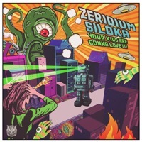 Thumbnail for the Zeridium - Your Kids Are Gonna Love It ! link, provided by host site