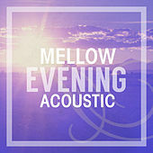 Thumbnail for the Joshua Radin - Your Light link, provided by host site