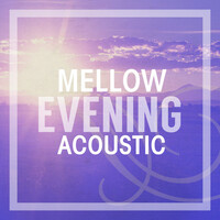 Thumbnail for the Joshua Radin - Your Light link, provided by host site