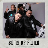 Thumbnail for the Sons Of Funk - Your Love Is Fire link, provided by host site
