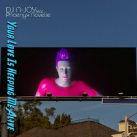 Thumbnail for the DJ n-Joy - Your Love Is Keeping Me Alive link, provided by host site