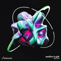 Thumbnail for the Wolfire - Your Love (Radio Edit) link, provided by host site