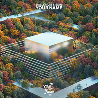 Thumbnail for the Dallerium - Your Name link, provided by host site
