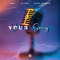 Thumbnail for the 2Shy - Your Song link, provided by host site