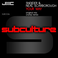 Thumbnail for the Sneijder - Your Way link, provided by host site