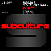 Thumbnail for the Sneijder - Your Way link, provided by host site