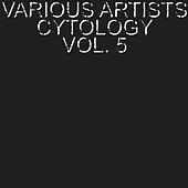 Thumbnail for the Juls - Z (Analogik Voice Remix) link, provided by host site
